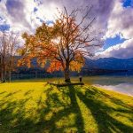 産前産後のママを素敵に！ハイウエストの産前・産後兼用トラウザー