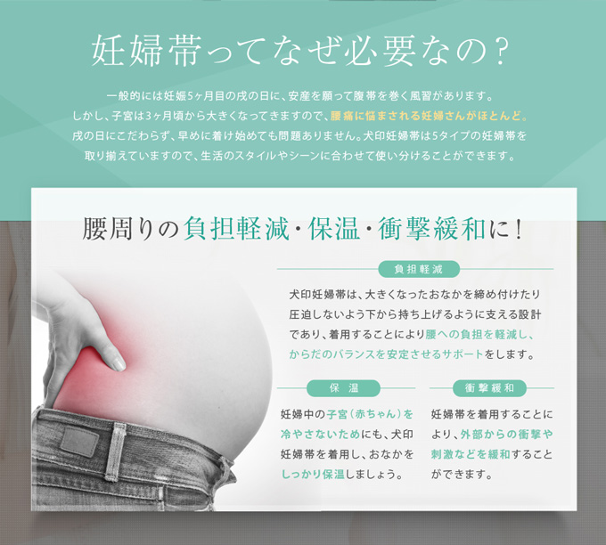 犬印 犬印本舗 腹帯 腹巻 妊婦帯 これ一枚でらくちん妊婦帯 お腹サポート 通販